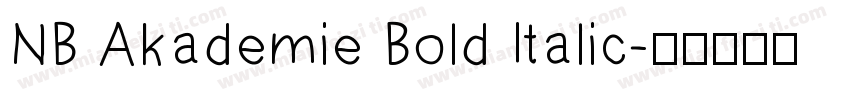 NB Akademie Bold Italic字体转换